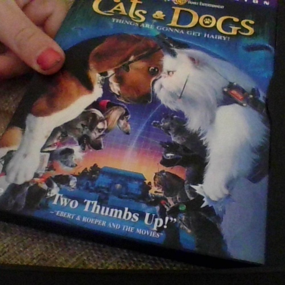 dogs and cats dvd